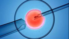 人工授精后第10天能测怀孕吗