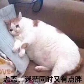 忐忑、迷茫,同时又有点胖