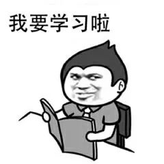 精子发育的过程