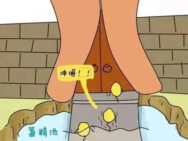 爱孕是亿万精子竞争的结果