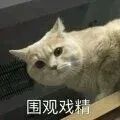 受孕的过程种,大量精子会被淘汰
