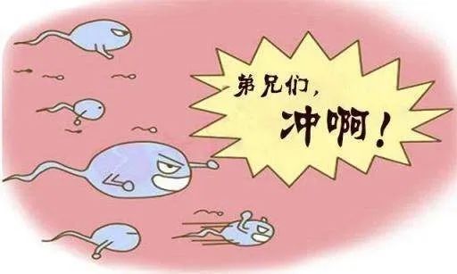 仅有少量精子可以进入宫腔