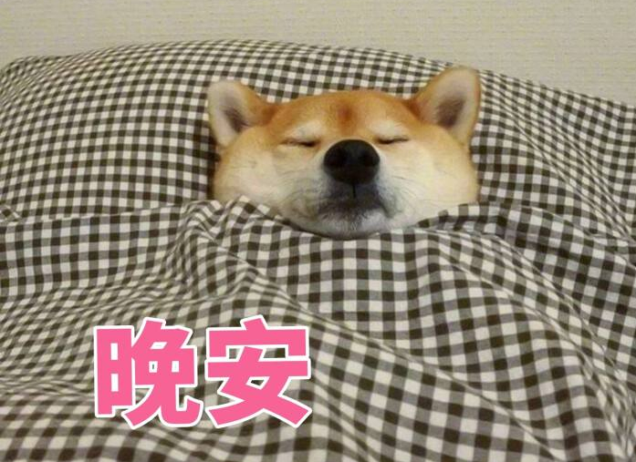 网络表情:晚安