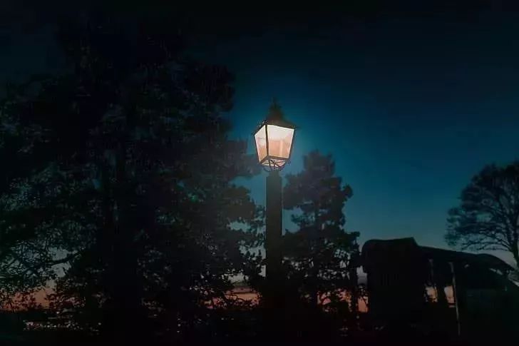 已是深夜,把儿子哄睡着了,才开始慢慢码字。