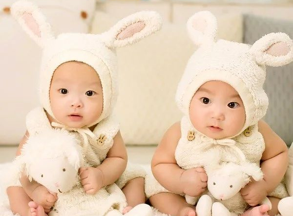 ​揭秘：胚胎质量是根据什么来决定的？怎么知道自己的胚胎好不好？