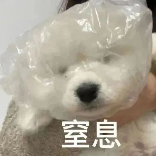 网络表情