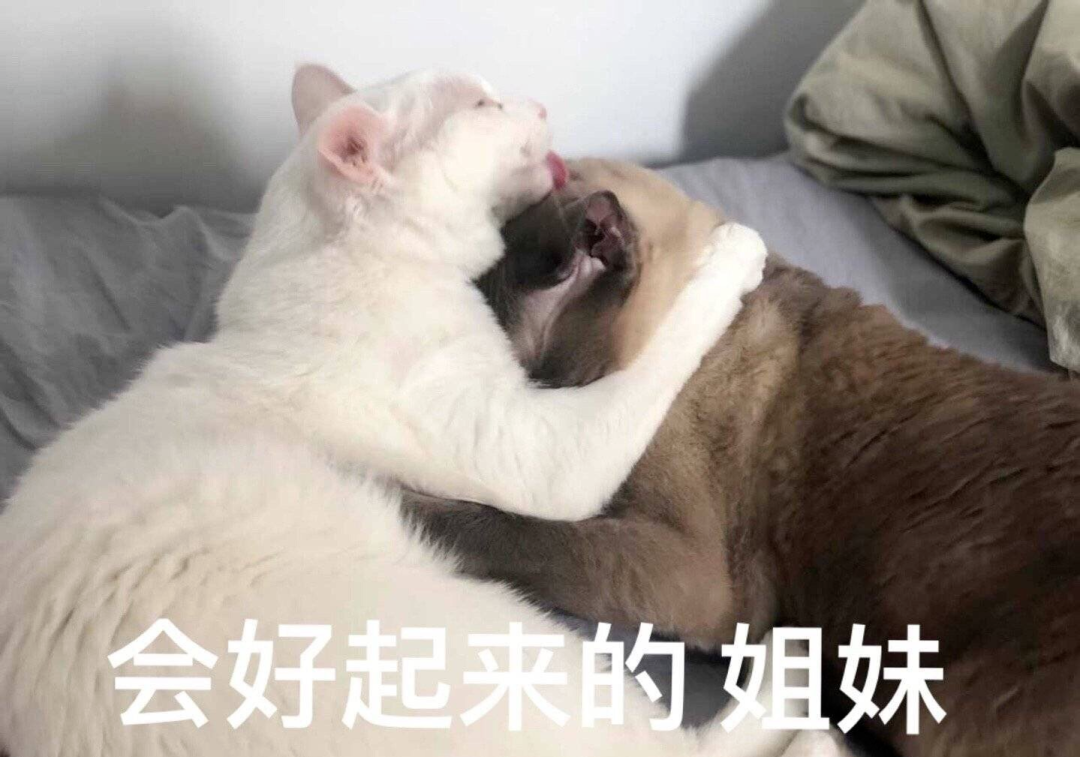 网络表情