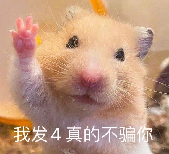 网络表情