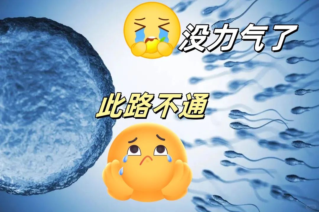 网络表情