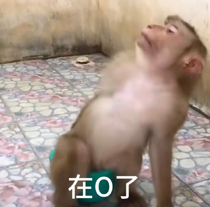 网络表情