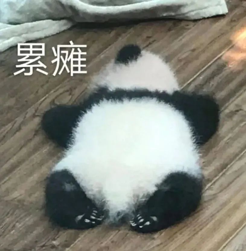 网络表情