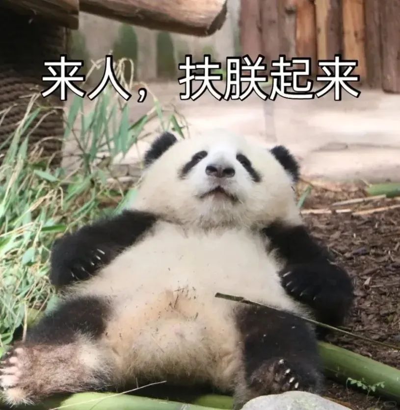 网络表情
