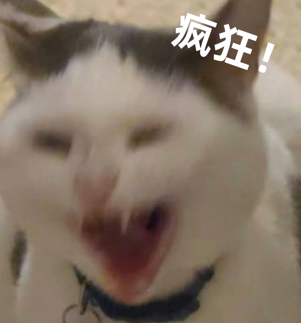 网络表情
