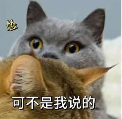 网络表情
