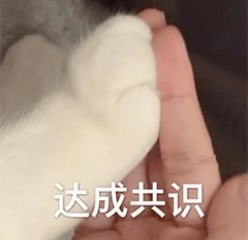 网络表情