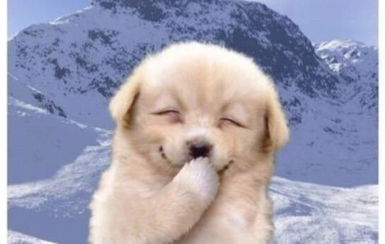 咱就是说,咱们四川简直太给力,现在堂妹儿已经在心里盘算,是不是可以趁着好政策赶紧生个二胎了。