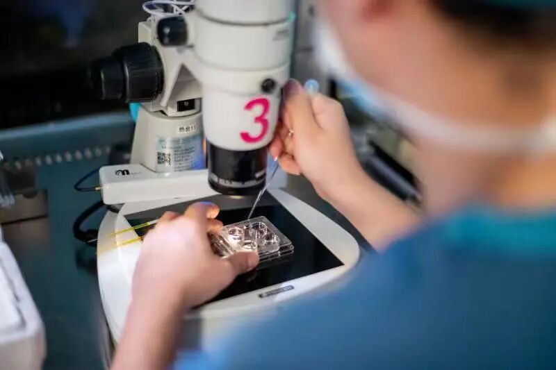 胚胎师操作前会将夫妻信息储存于电脑及芯片中，该芯片标签会粘贴到培养皿、取精皿等该夫妻需要使用的每一个实验器材上