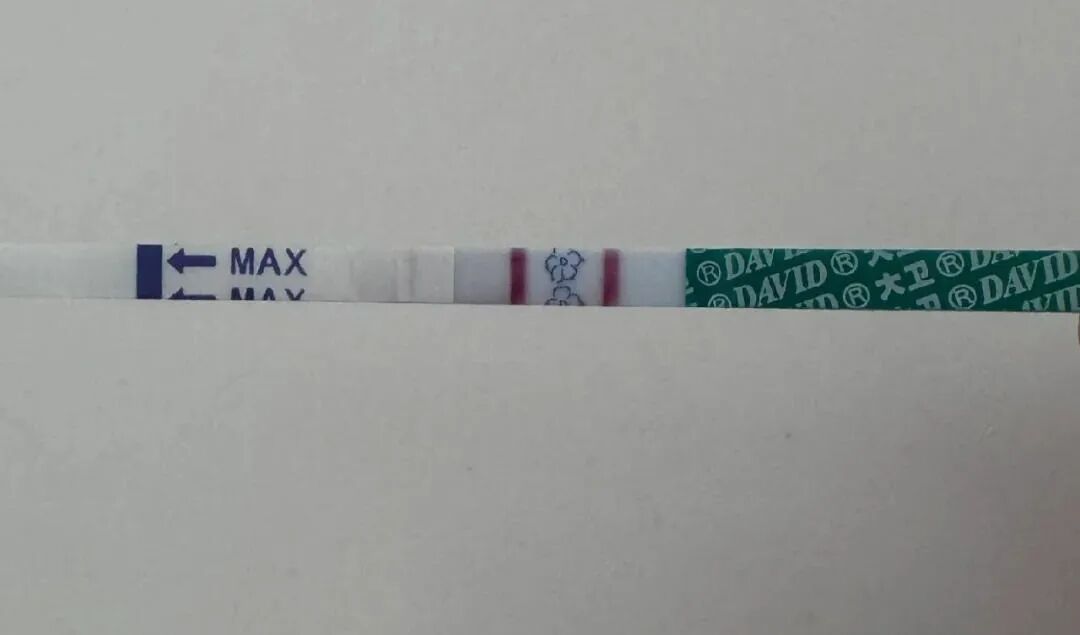 它的原理是：排卵前，女性体内的黄体生成素（LH）会突然飙升，排卵试纸就是通过检测尿液中的LH浓度，来预测排卵时间。