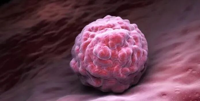 如果胚胎停育,一定要做胚胎染色体筛查,好明确是胚胎原因还是母体因素造成的