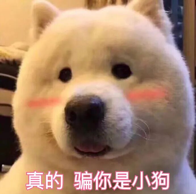 网络表情